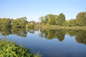 Брянская осень