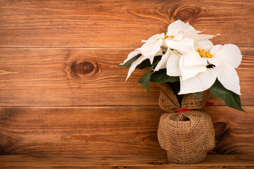 Christmas decoration - artificial poincettia (euphorbia) with white flowers on the wooden background.