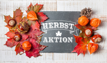 Herbst - Aktion