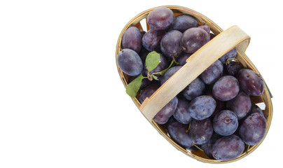 basket of plums on a white background