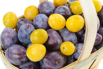 basket of plums on a white background