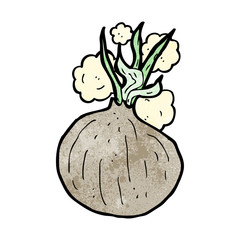 cartoon onion