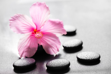 Obraz na płótnie Canvas beautiful spa concept of pink hibiscus flower on zen basalt ston