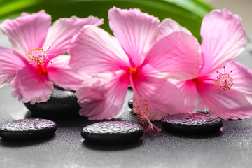 Fototapeta na wymiar beautiful spa concept of pink hibiscus flowers and leaf on zen b