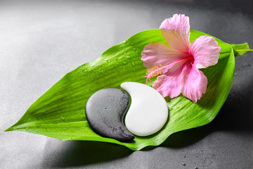 beautiful spa concept of pink hibiscus flower and Yin-Yang of st © Alisa