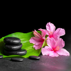 beautiful spa concept of pink hibiscus flowers, green leaf and s