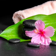beautiful spa concept of pink hibiscus flower, green leaf, candl
