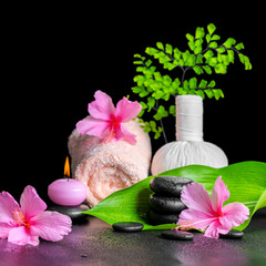 beautiful spa composition of pink hibiscus flower, leaf fern, th