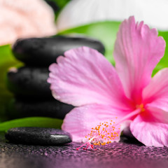 Obraz na płótnie Canvas beautiful spa background of pink hibiscus flower, leaves, towel