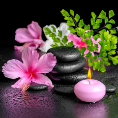 beautiful spa concept of pink hibiscus flowers, fern branch, can