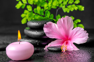 Naklejka na ściany i meble beautiful spa concept of pink hibiscus flower, fern branch, cand