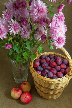 Basket of plums