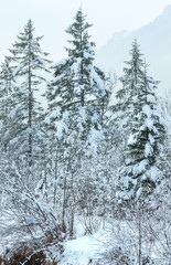 Snowy trees.