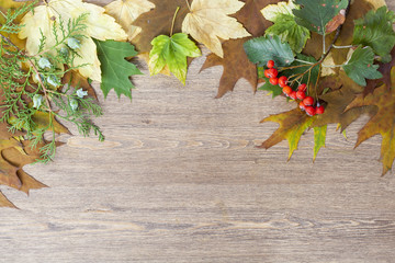 Autumn leaves yellowed wooden background close up, selective focus