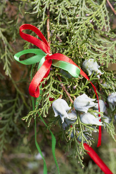 Christmas fir branch with cones and festive ribbons, close up, selective focus