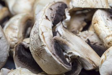 Agaricus Mushroom Close Up