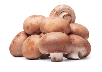 fresh mushrooms