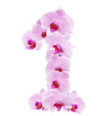 letter 1 from orchid flowers