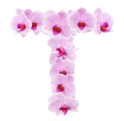 Fototapeta na wymiar letter T from orchid flowers