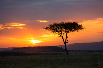 Fototapeta na wymiar Sunset in the Serengeti National Park, Tanzania, Africa