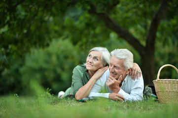 Fototapeta premium Amusing old couple in summer park
