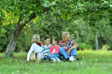 Family  in summer park with apples