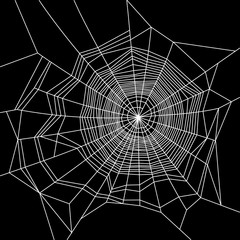 Obraz premium Cobweb. White on Black Background. Vector