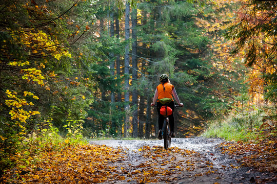 Mountain biker in autumn forest