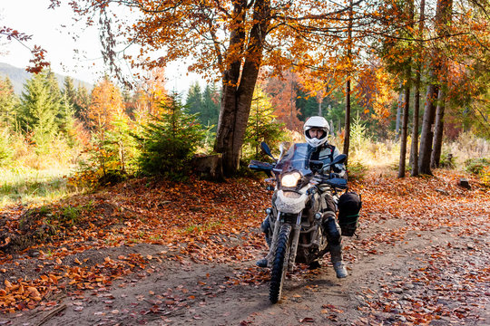 Motorbiker in autumn forest
