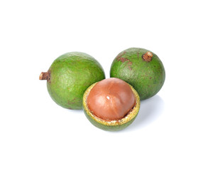 macadamia nuts on white background