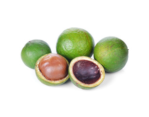 macadamia nuts on white background