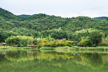 京都　色付き始めた広沢池の紅葉