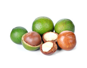 macadamia nuts on white background