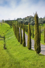Country Tuscany road with cypresses (Italy)