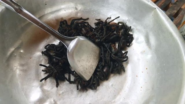 Ready for cooking tarantulas in a metal basin