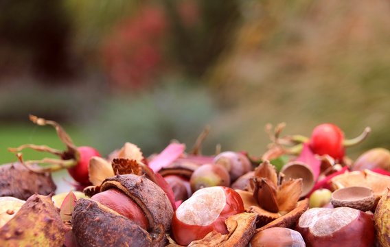 Buchegger-Bilder: Stock-Fotos & -Videos. | Adobe Stock Buchegger-Bilder: Stock-Fotos & -Videos. | Adobe Stock