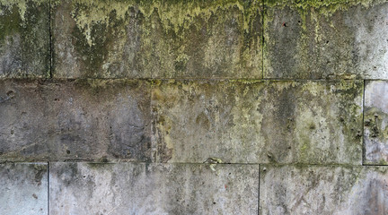 Wall texture of gray greenish mossy stone