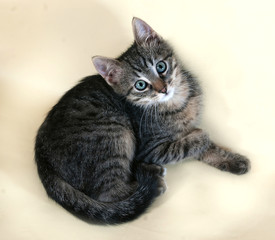 Striped kitten lying on yellow