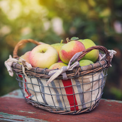 Organic Apples