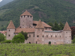 Fototapeta na wymiar castle in Bolzano (Italy)