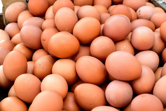 Eggs that