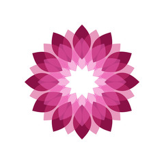 Fototapeta premium Magenta Flower Shades