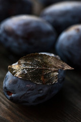 macro photo blue plum with a dry leaf