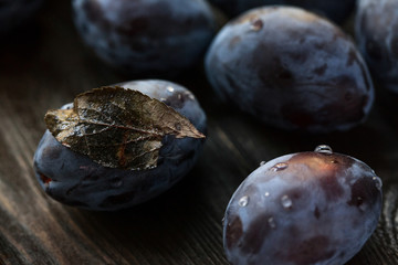 macro photo blue plum with a dry leaf