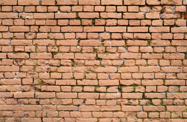 Fototapeta premium Texture of old orange brick wall