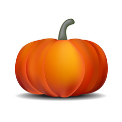 Pumpkin isolated on white. Realistic vector illustration.