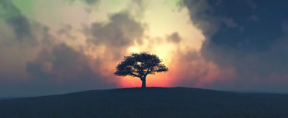 Fototapeten Sonnenuntergang und Baum © juanjo