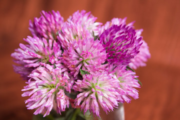 Flower bouquets