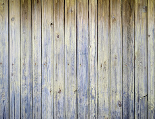 Texture of old green fence