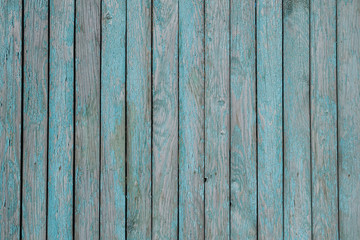 Texture of old green fence